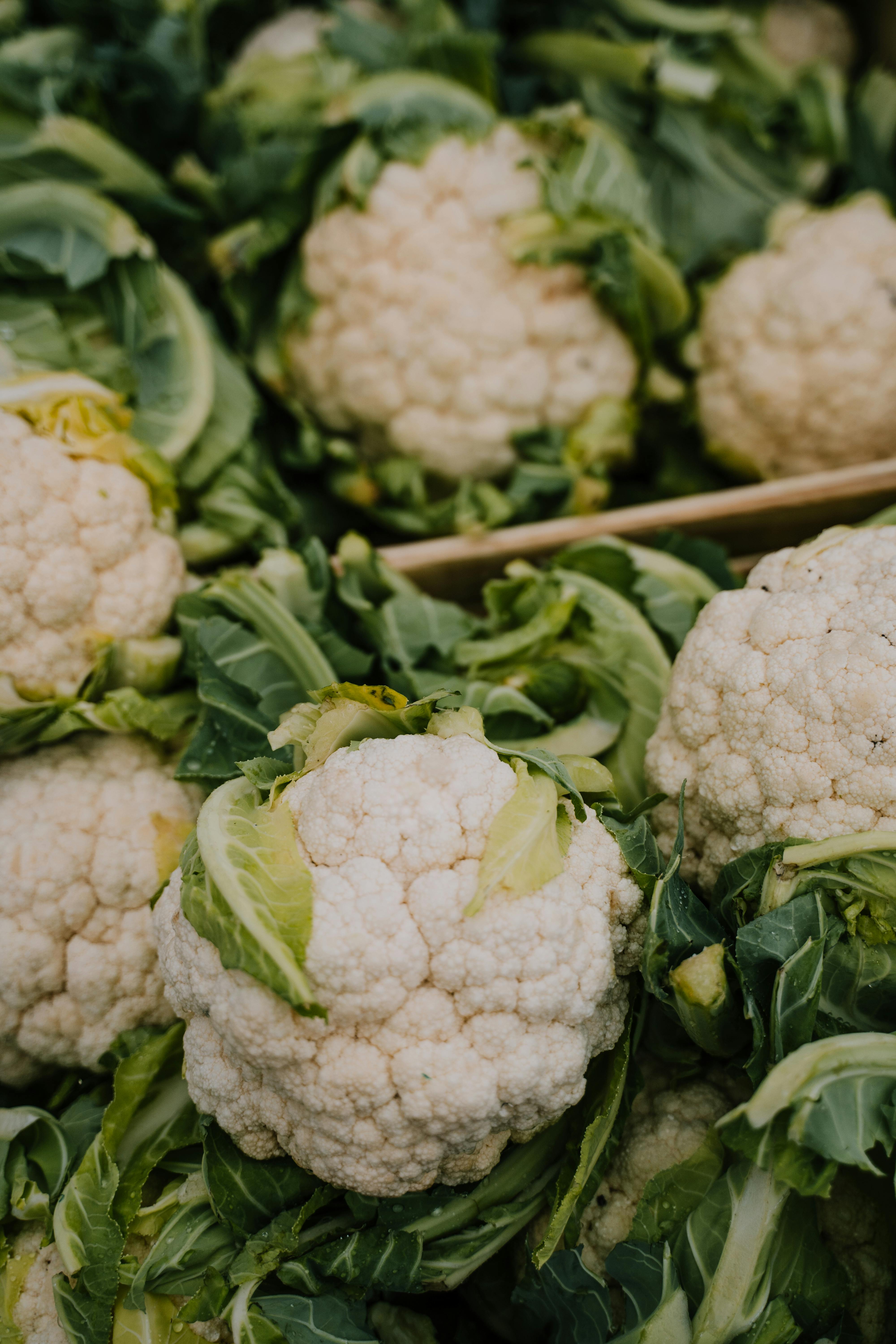 Fresh Cauliflowers