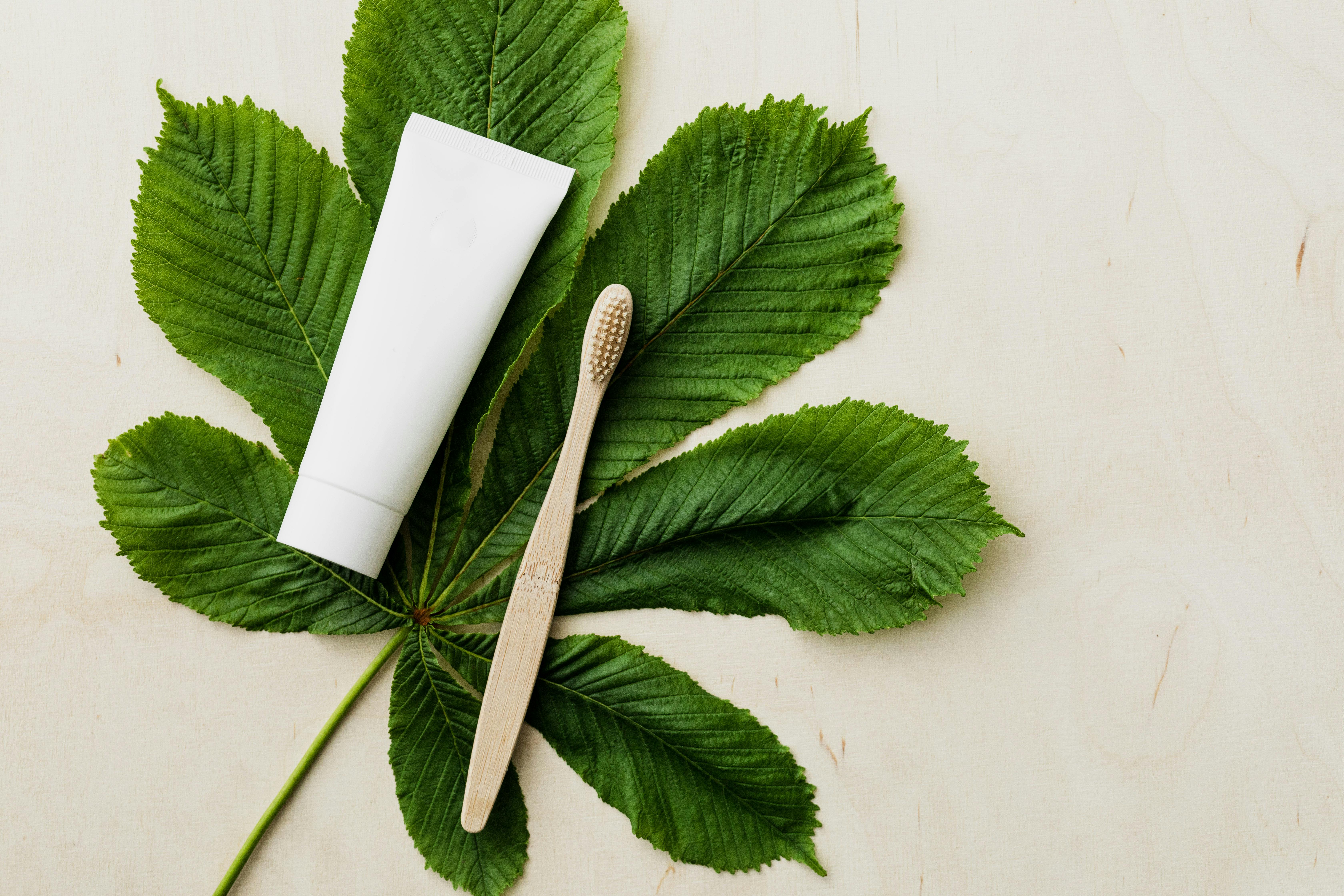 Mint Toothpaste